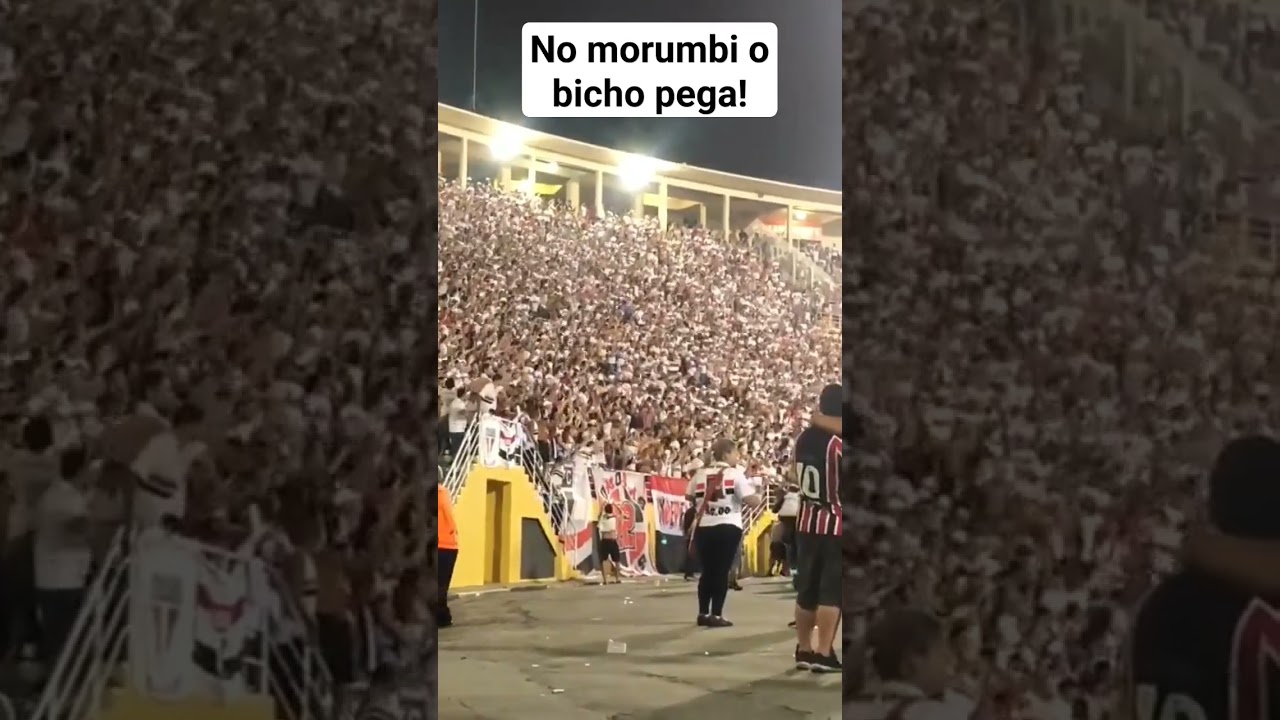 No Morumbi o bicho pega! #spfc #torcidatricolor #brasileir&atilde;o #morumbi #futebolbrasileiro
