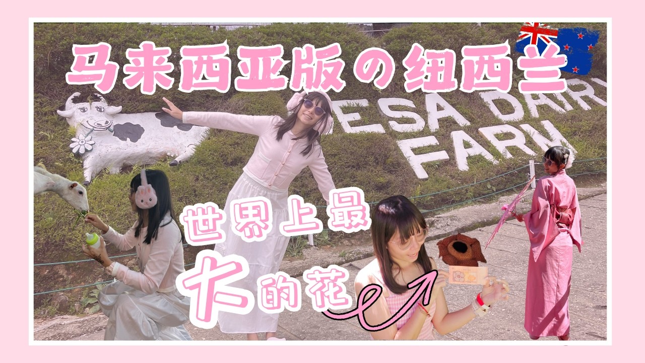 【VLOG】沙巴之旅（中）🩷 | 还想再吃山猪肉🐗 | DESA DAIRY FARM🐮 | SABAH的榴莲像山竹⁉️ | HIDDEN HILL真的看到神山吗⛰️ | YDP 心心念念的莱佛士花🌸