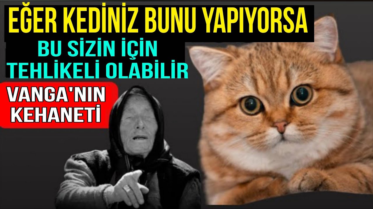 BABA VANGA, EVİNDE KEDİ OLANLARIN KADERİNİ AÇIKLADI – KEHANET BAŞLADI | Budist Yasası
