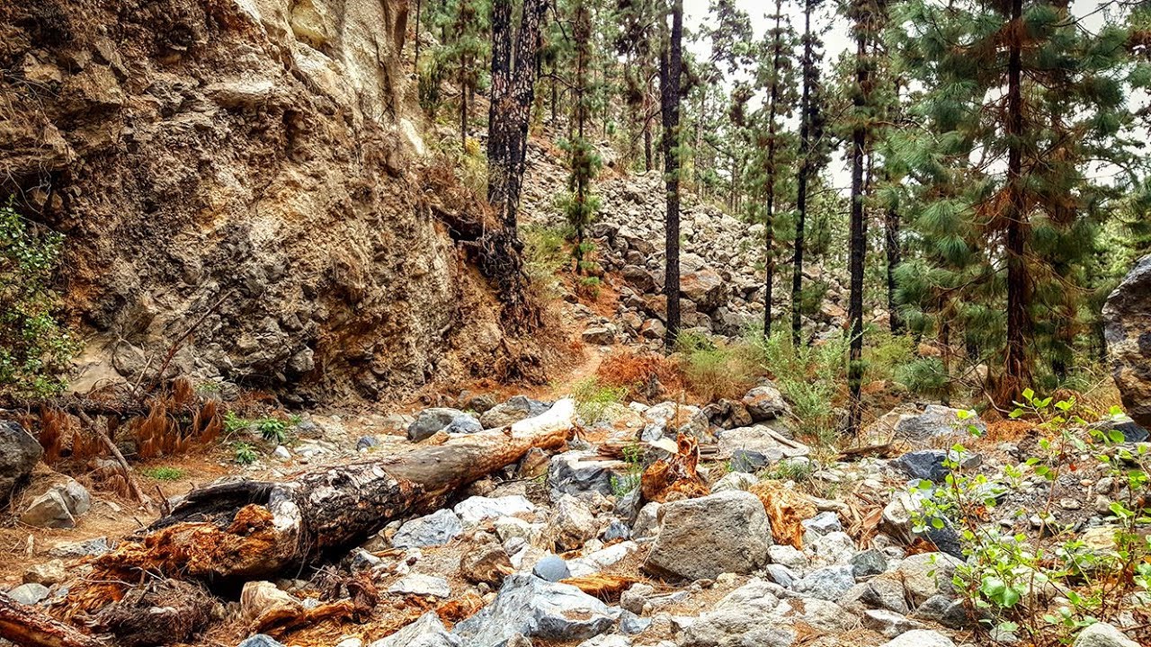Ruta Camino de Ifonche, Tenerife