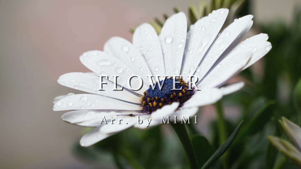 FLOWER (arr. by MIMI) / jubeat DJ YOSHITAKA