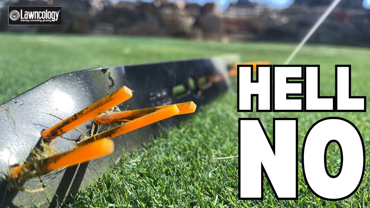 ONE STAR REVIEW: Dethatching Lawn Mower blade
