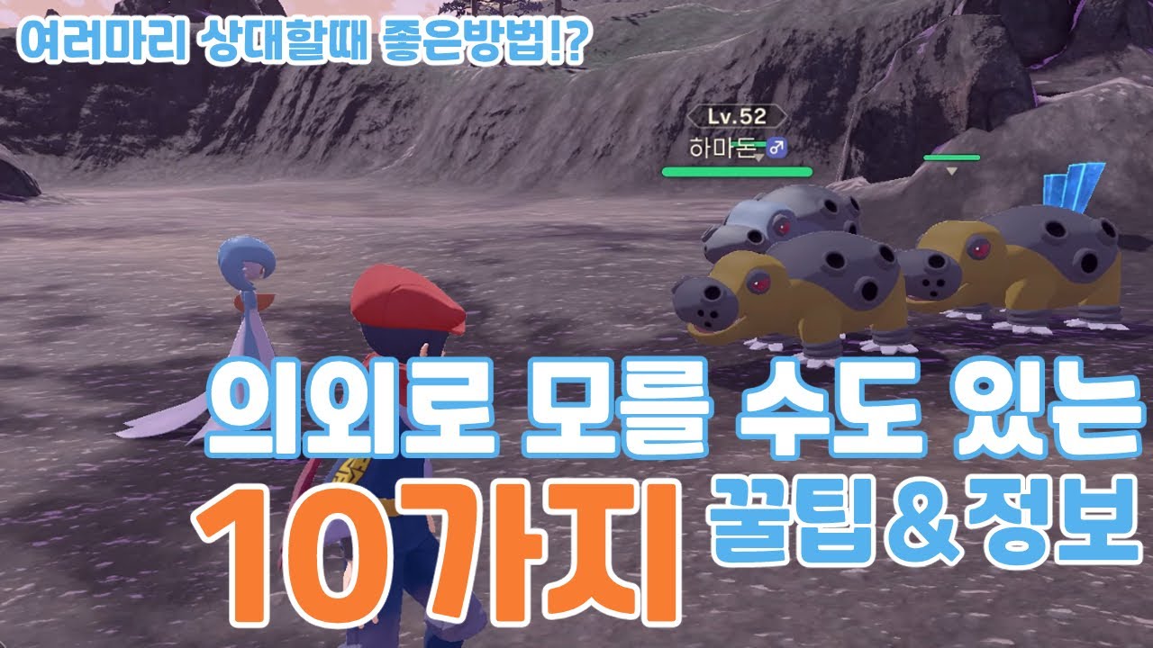 레전드 아르세우스 의외로 모를 수도 있는 10가지 꿀팁&정보!