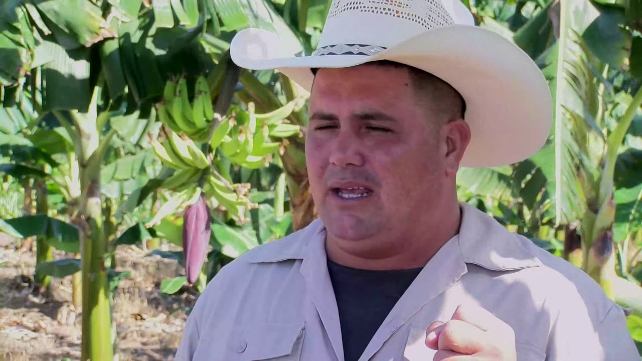 Historias de campesinos cubanos (I): Yoandy Rodríguez