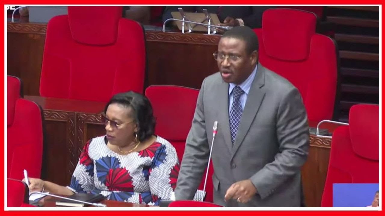 ''MAMBO MENGINE YANAUDHI SANA!'' - MBUNGE AONGEA KWA UCHUNGU BUNGENI....
