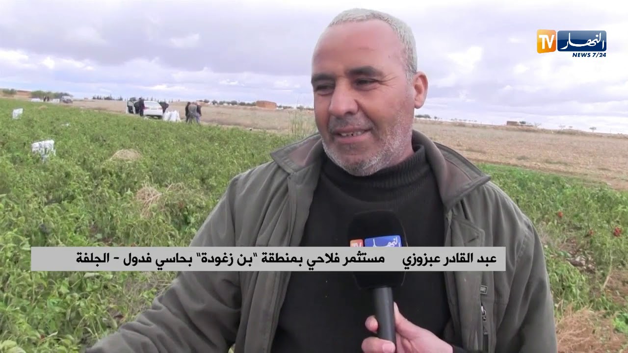 الجلفة/ إنتاج الفلفل والطماطم بحاسي فدول...الفلاحون متخوفون من خسارة المنتوج