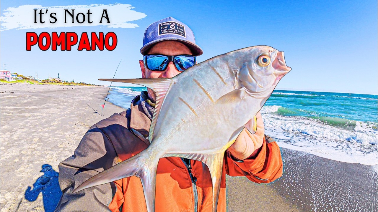 LEAST Known-BEST Tasting Fish | Surf Fishing Florida's East Coast