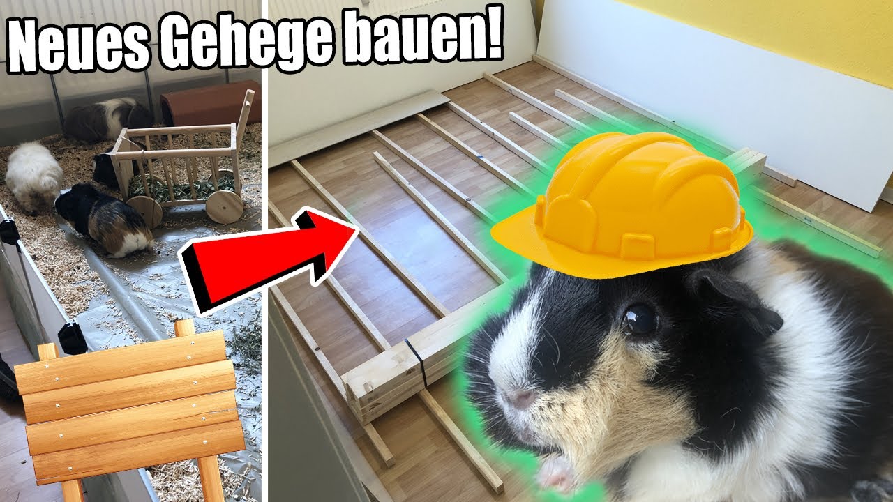 Ein RIESIGES Meerschweinchen Gehege bauen! ENDLICH! - Die Meeries