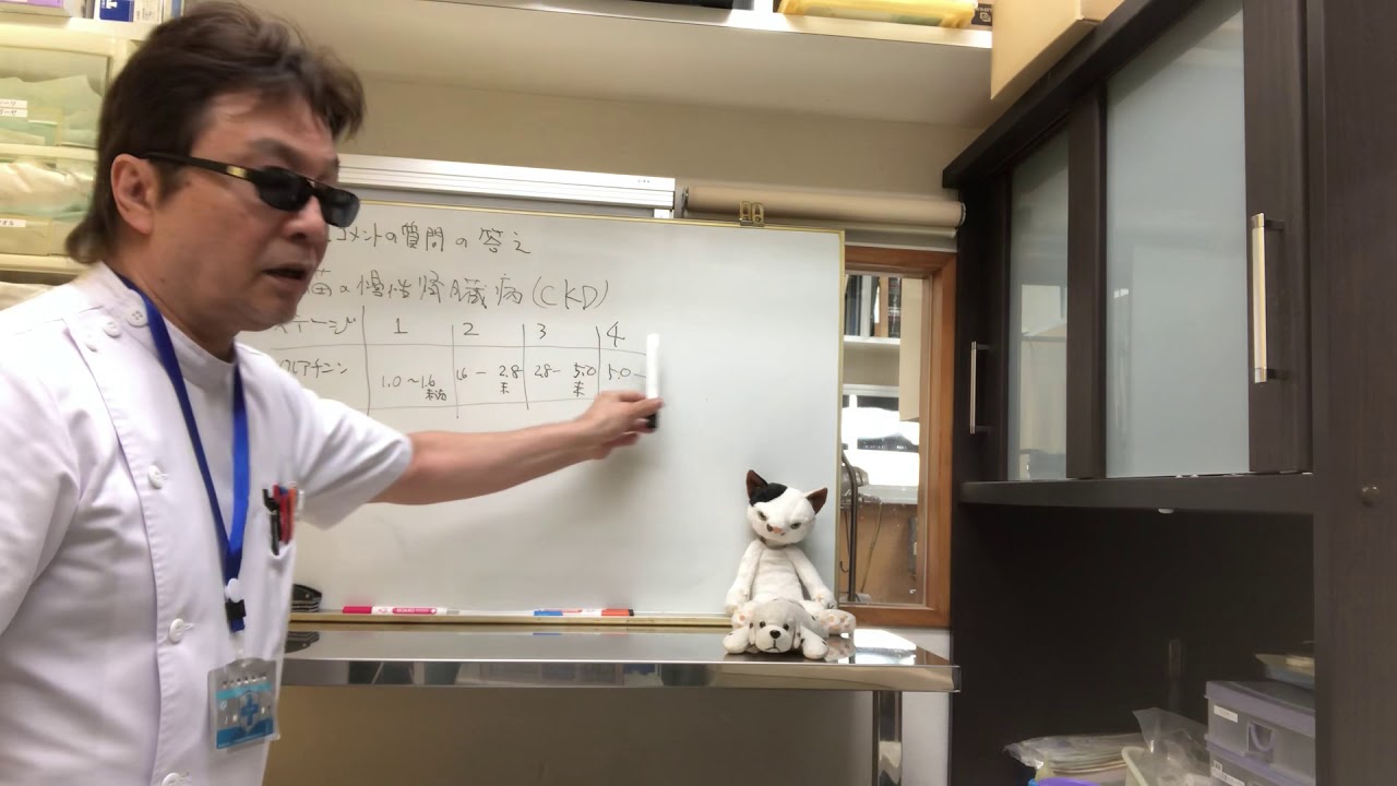 【猫の慢性腎臓病ステージ４で寿命はどれくらいですか？】