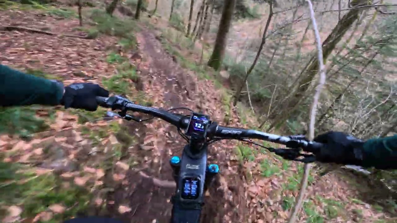 Eggberg Stage 1 🇩🇪 | Second Run – Faster & Cleaner
