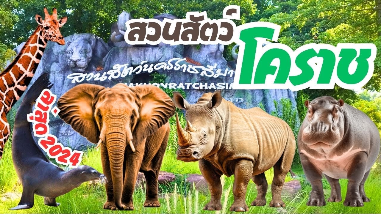 สวนสัตว์โคราช Korat Zoo มีอะไรน่าดูบ้าง! ล่าสุด 2567 | 2024  สวนสัตว์นครราชสีมา ใกล้ชิดสัตว์ สุดๆ !