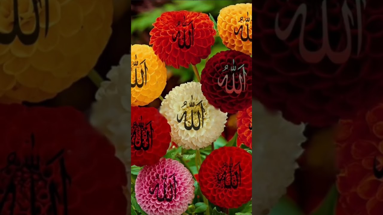 Bismillah #ytshorts_ #shorts #viralshort #youtubeshorts #tredingshorts #islamicdpz