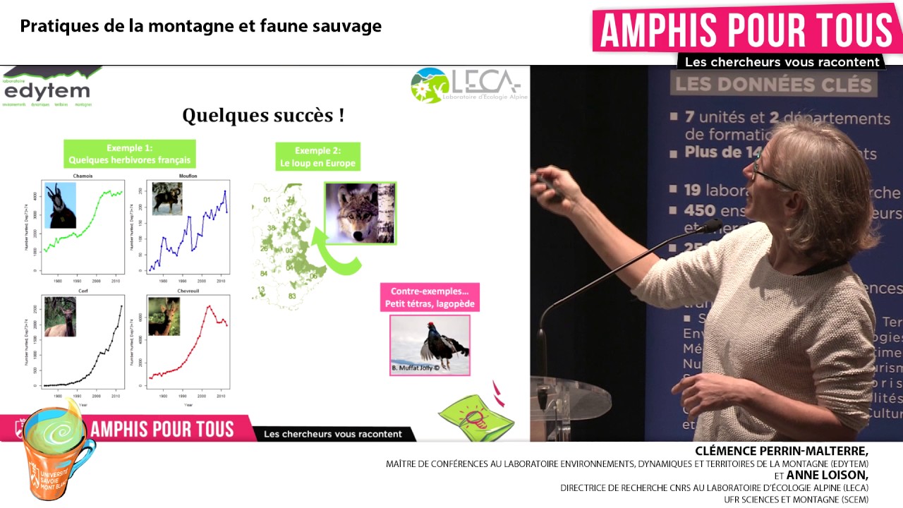 Amphis Pour Tous : Pratiques de la montagne et faune sauvage