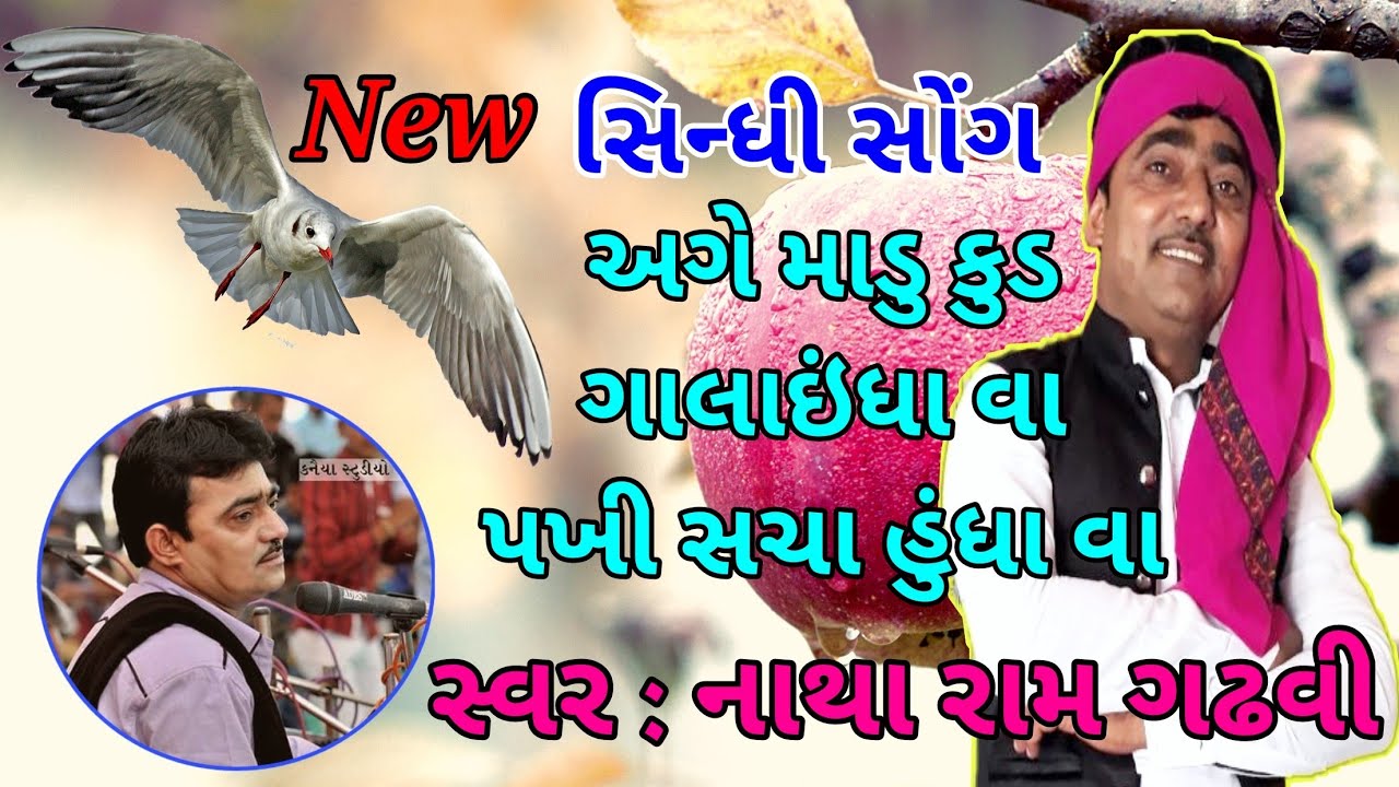 New_ સિન્ધી સોંગ_ કાંહું કબૂતર કુડા_ NATHA RAAM GADHAVI_ નાથાભાઈ ગઢવી KANAIYA STUDIO  KUTCH