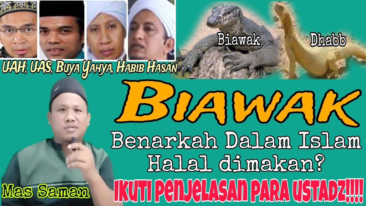Biawak itu Sebenarnya Halal atau Haram ya? apakah biawak itu Dhob? ikuti penjelasan para ustadz...!!