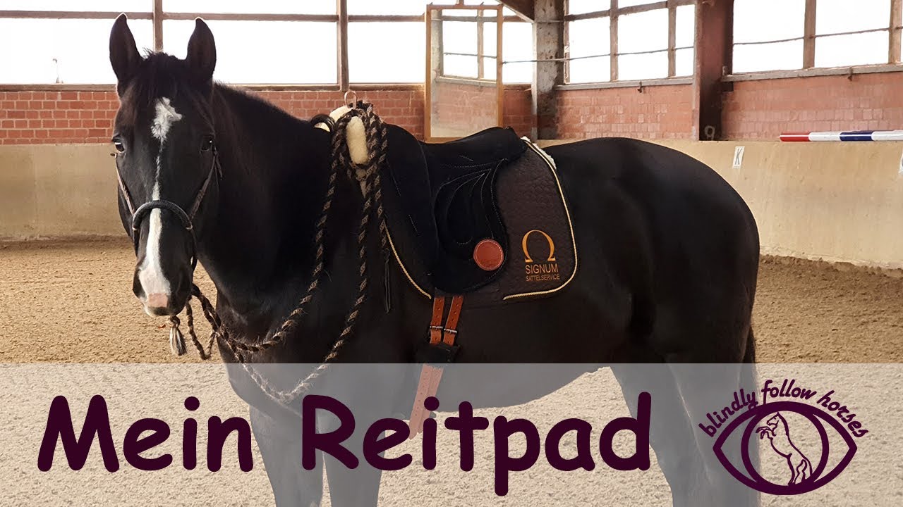 Signum Reitpad 