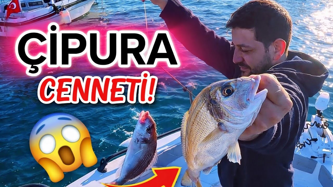 Bodrum Balık Kaynıyor. Tekneden Çipura Avı! Drone Çekimleriyle Ege Manzarası.