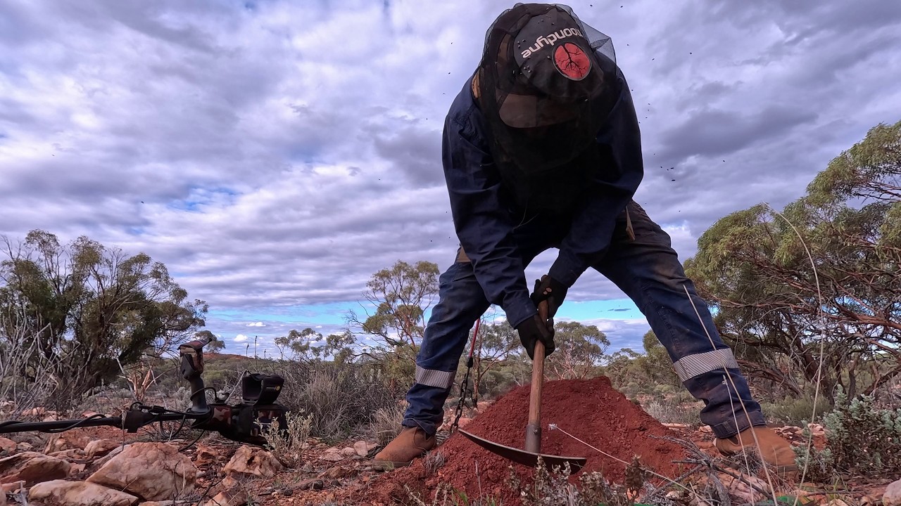 Not ALL Gold Is Yours | Gold Detecting Western Australia