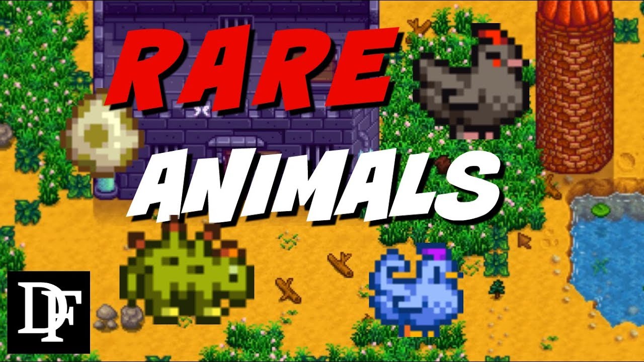 Rare Animal Guide - Stardew Valley Gameplay HD