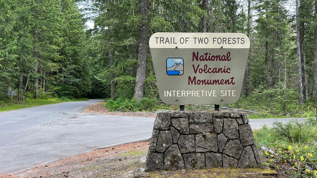 When lava flowed into the forest | Trail of Two Forests | Mount St. Helens