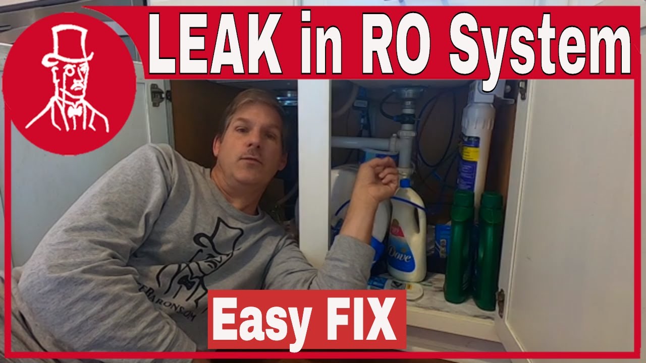 reverse osmosis faucet filter system leak