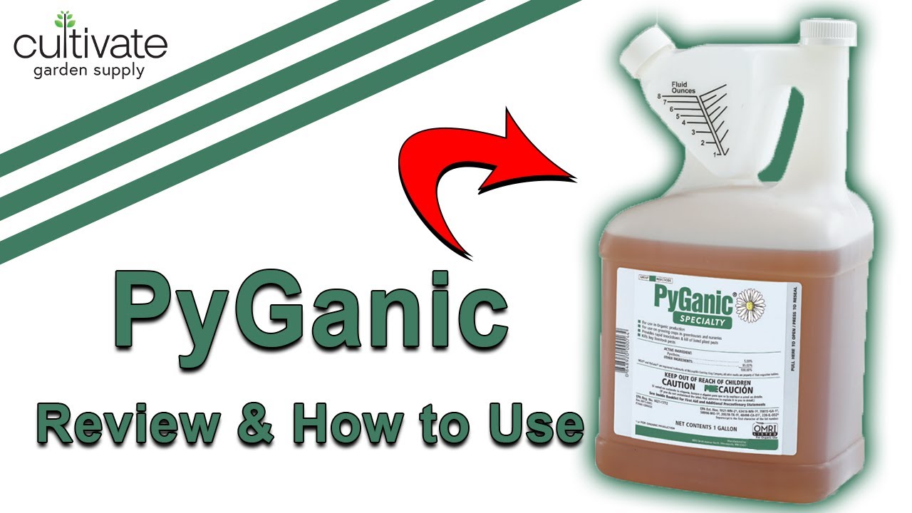 Обзор пестицида PyGanic и способы его применения