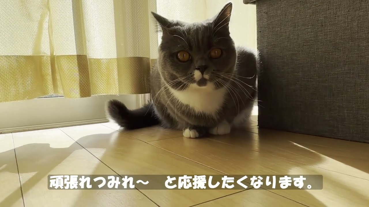 ビビりなつみれが、新たな一歩を踏み出しました。