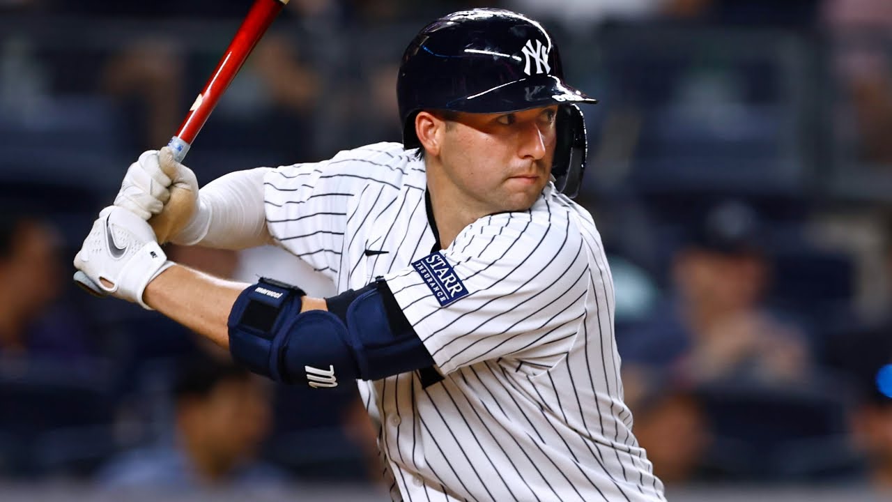 Kyle Higashioka 2023 Highlights!