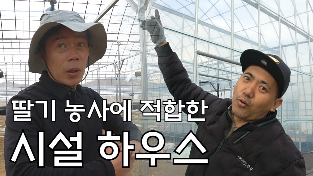 비닐하우스 시공 할 때 유용한 정보!_딸기 하우스는 2편 #청보농자재 #청보 #비닐하우스