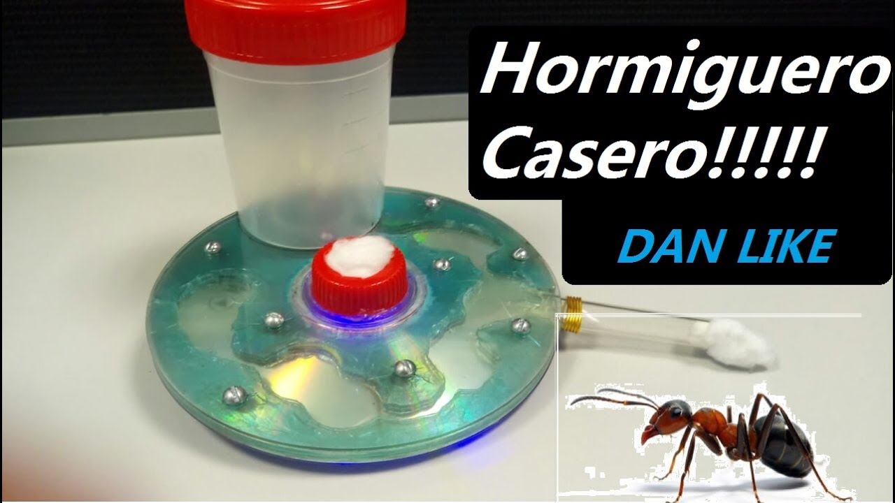Hormiguero casero y reciclado modelo 