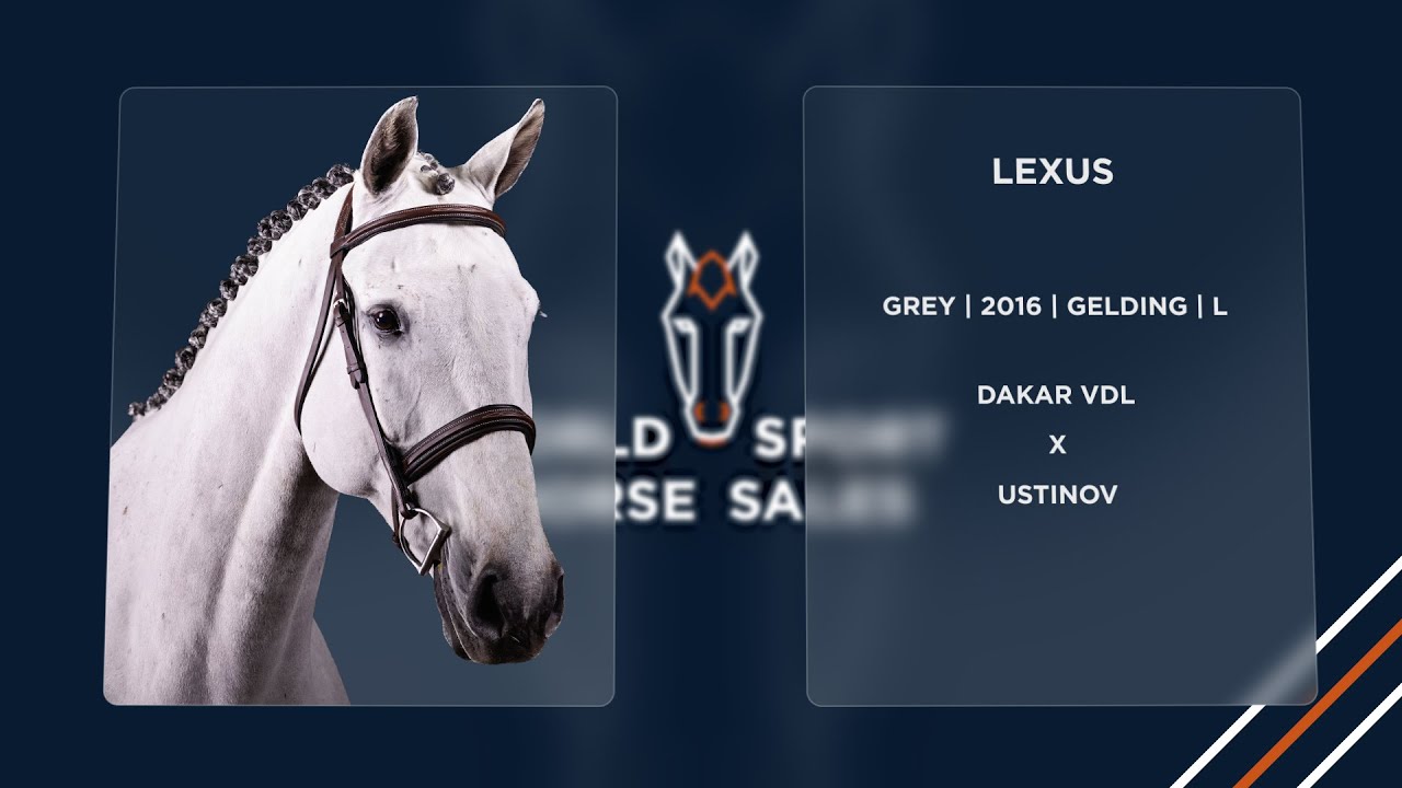 14. Lexus (Dakar VDL x Ustinov)