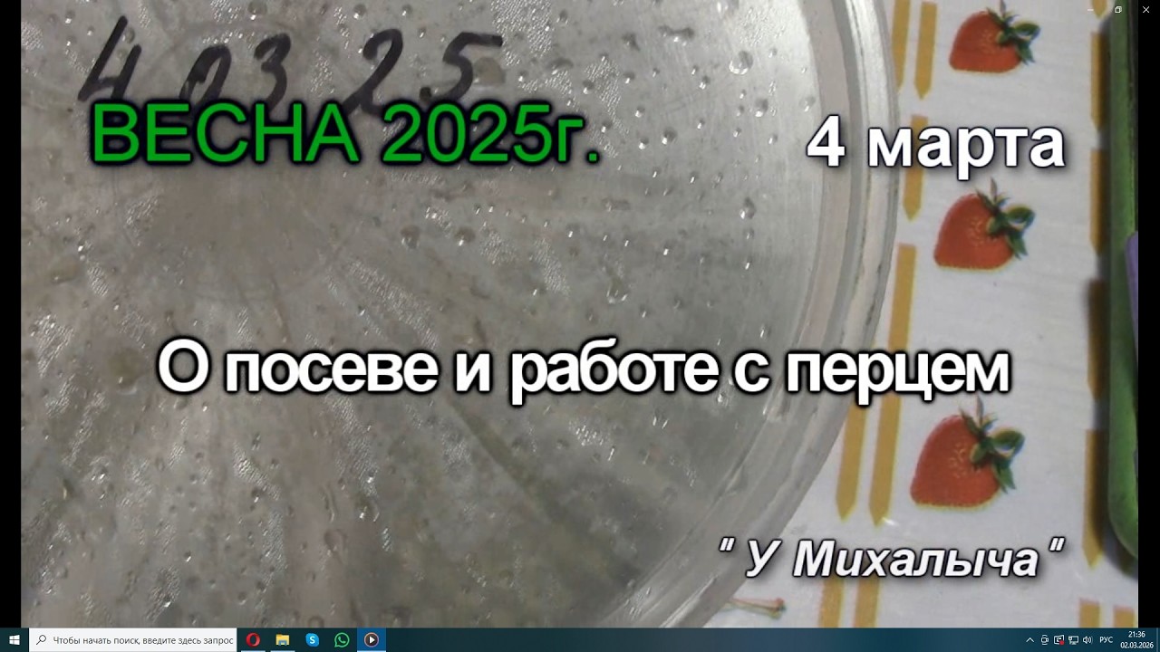 Весна 25г  Перец посев и посадка рассады.