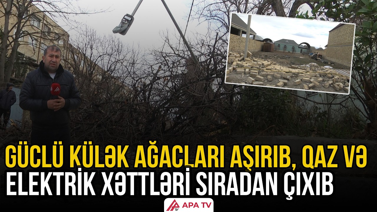 Gəncədə küləyin fəsadları aradan qaldırılır  | APA TV