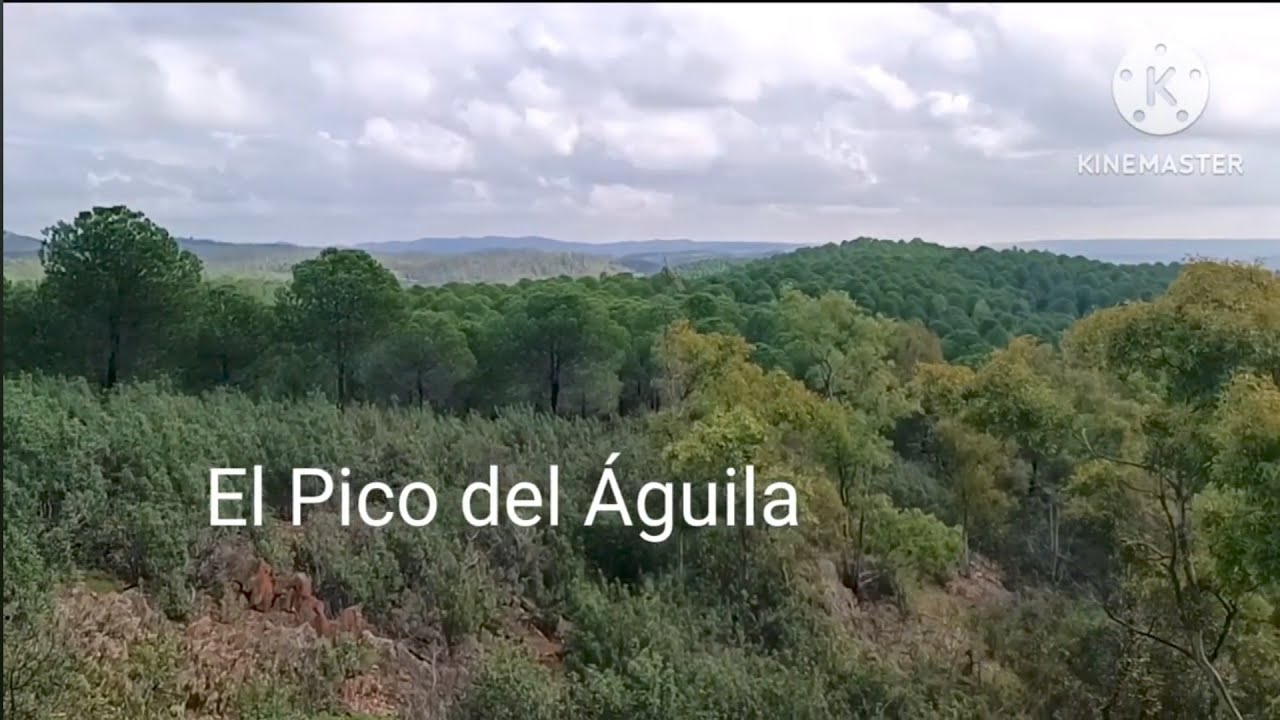 El Pico del Águila, Valverde del Camino