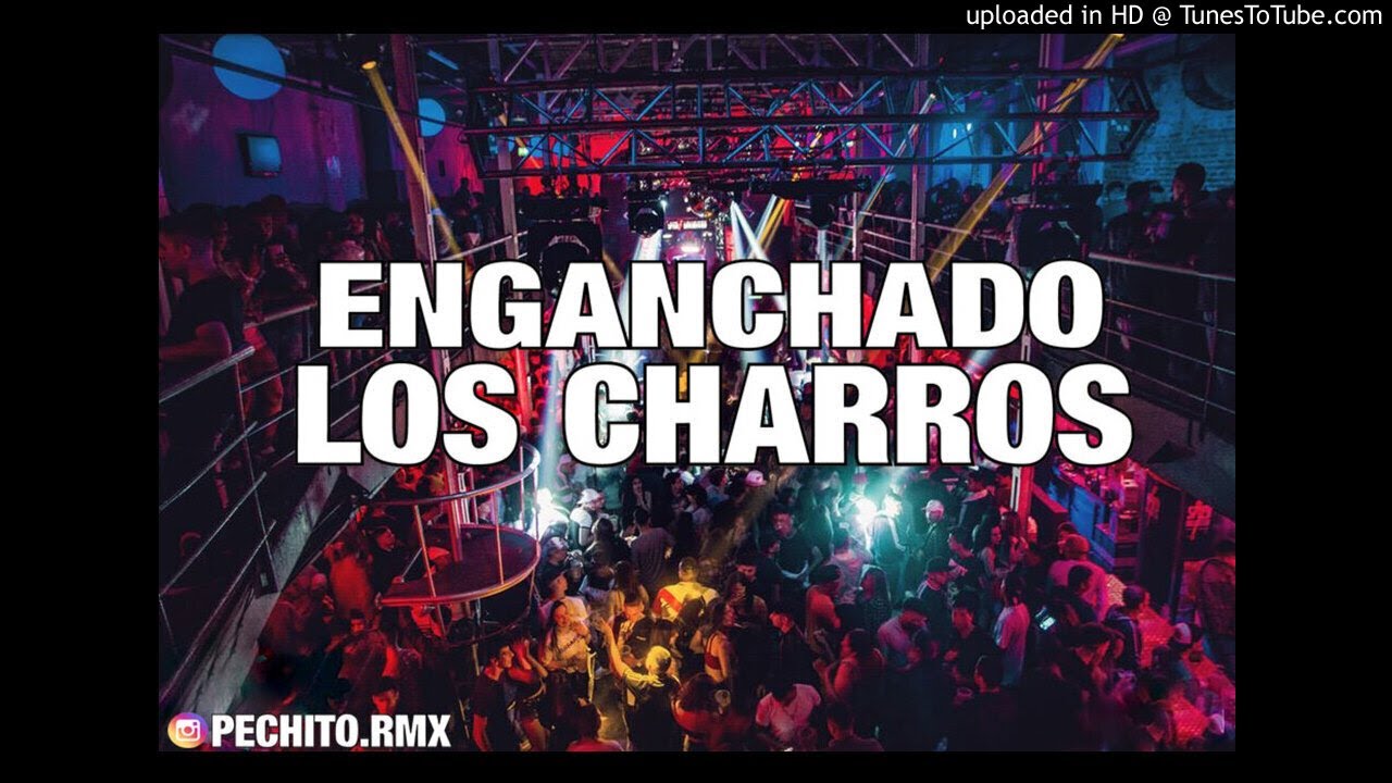 LOS CHARROS ✘ ENGANCHADO ✘ FIESTERO ✘ PECHITO REMIX 🎶