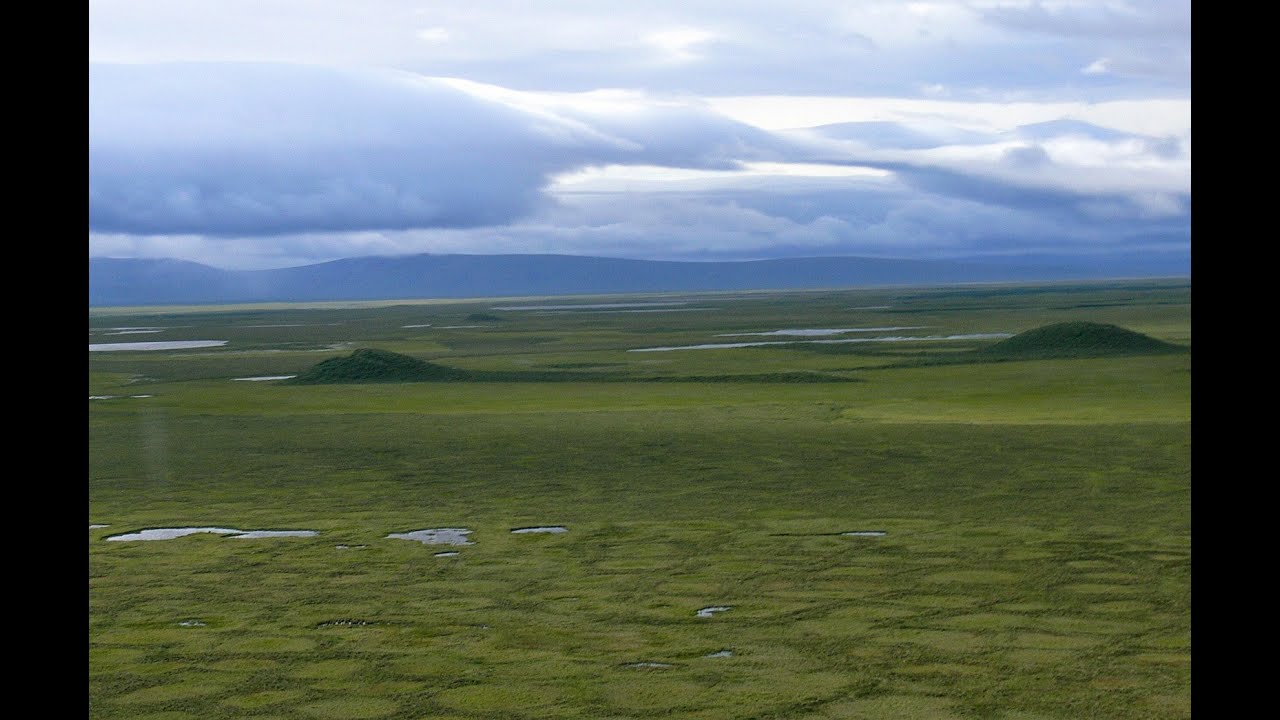 Pingos in Alaska's Arctic National Parks (audio described)