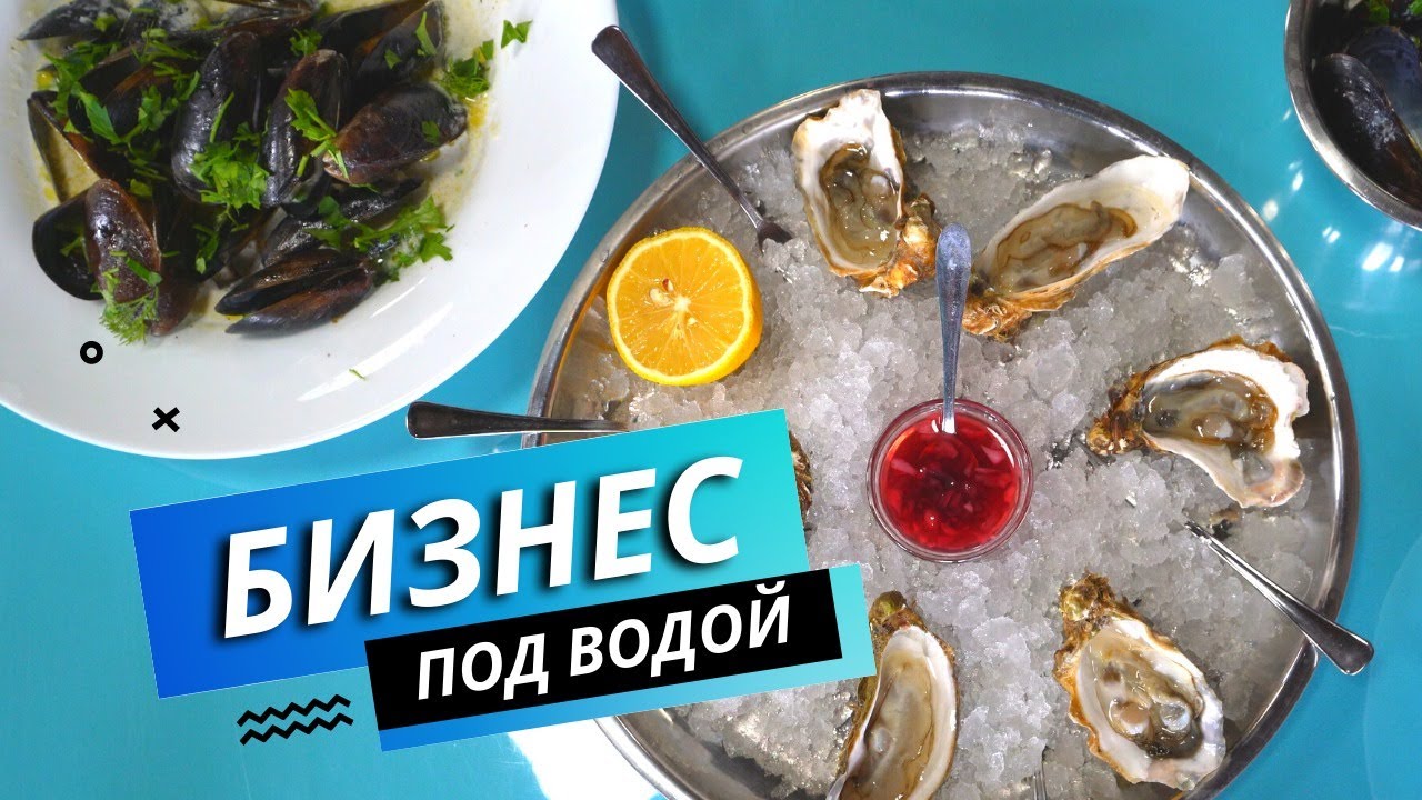 Устрично-мидийная ферма | Фермерское дело