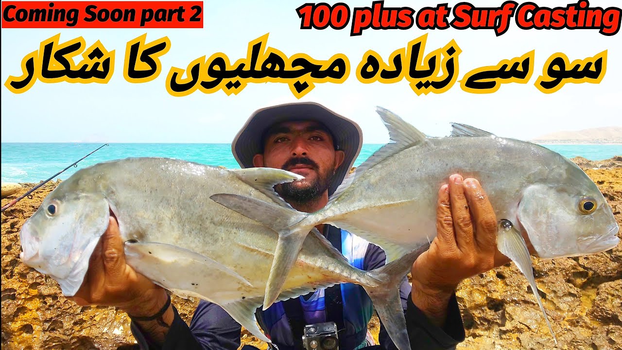 Lots Of Fishes at Surf Casting  |Mubarak Village Beach Fishing   #fishingvideo #karachifishing .