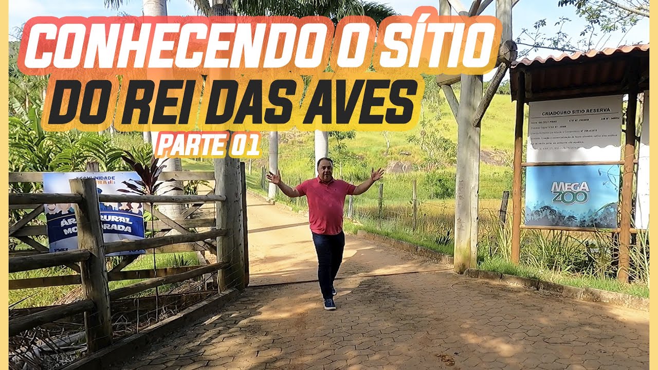 TOUR PELO CRIAT&Oacute;RIO REI DAS AVES - PARTE 01
