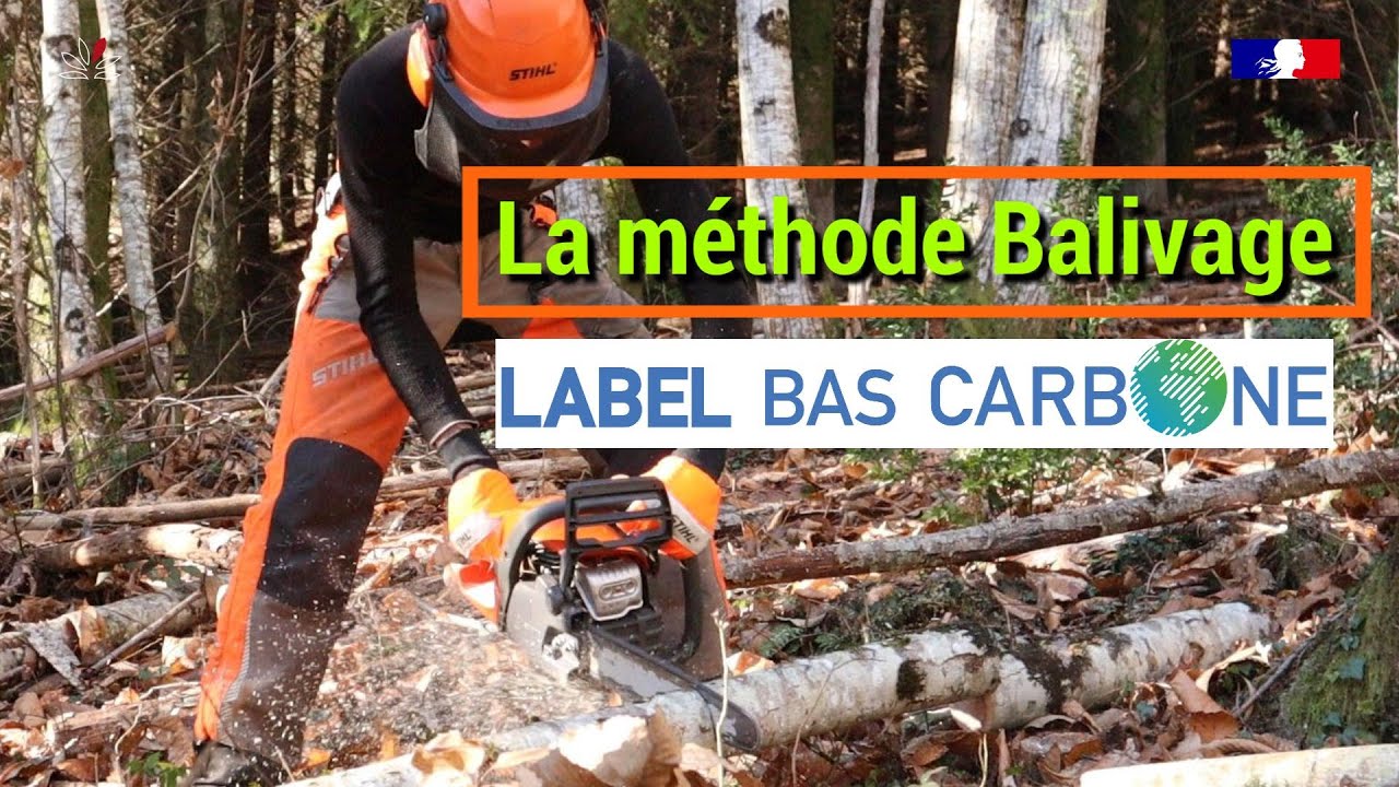 La méthode balivage - Label Bas Carbone