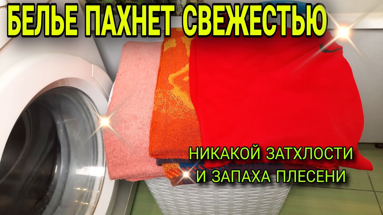 Как убрать запах плесени, сырости и затхлости с одежды, полотенец