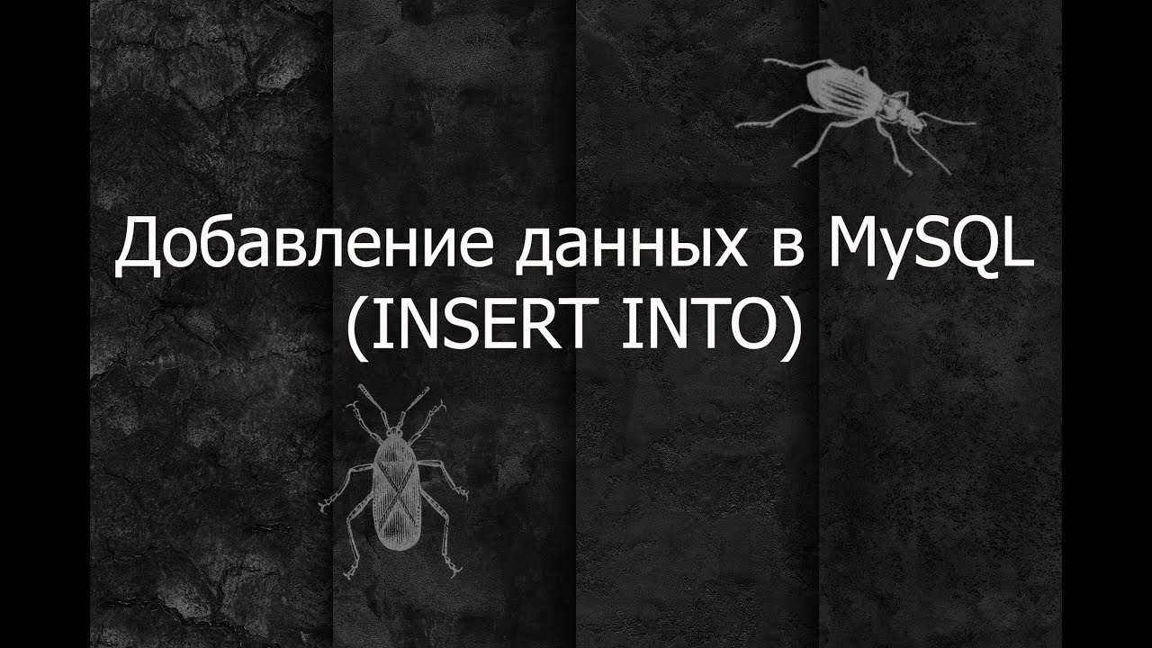 QA 4. Добавление данных (INSERT INTO) в MySQL Workbench
