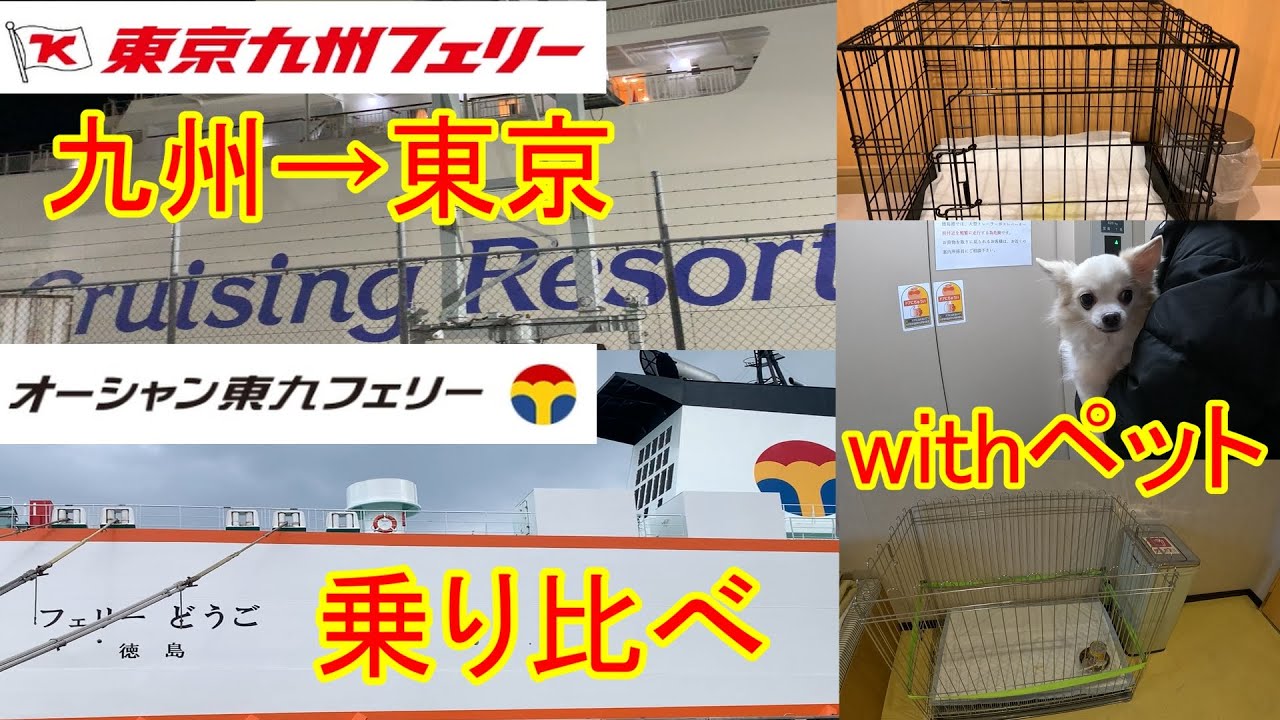 オーシャン東九フェリー withペットルーム と 東京九州フェリーwithペットルームの比較動画