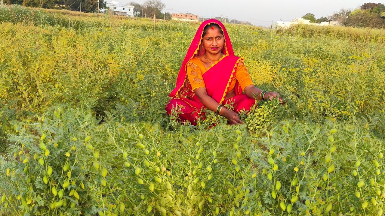 रोटी कच्ची बनातीं हो , हरे चने के स्वादिष्ट निमोना जो खाये अंगुली चाट जायें | Hare Chane ka Nimona