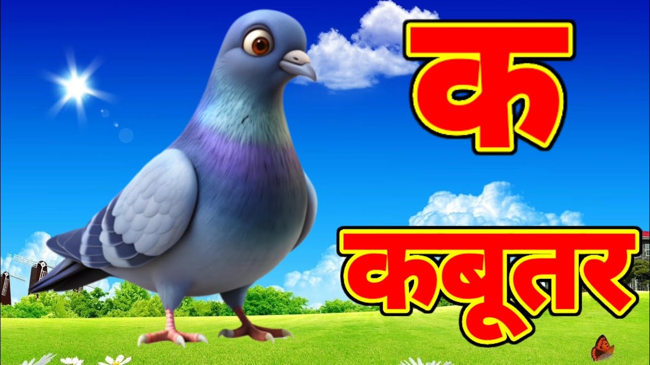 क से कबूतर,अ से अनार a se anaar k se kabutar | Hindi varnmala | ABCD क से‌ कबूतर