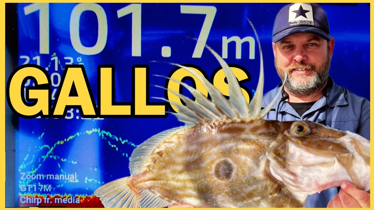 PESCA al VIVO a +100m: Así se ve el GALLO DE SAN PEDRO en sonda Garmin GT17M-THF