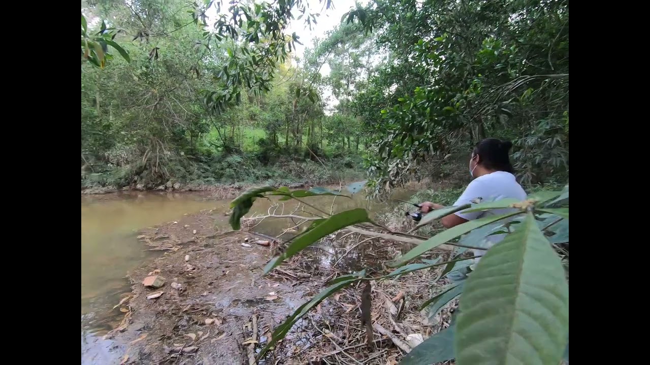 Geng Kumpau Mancari Spot