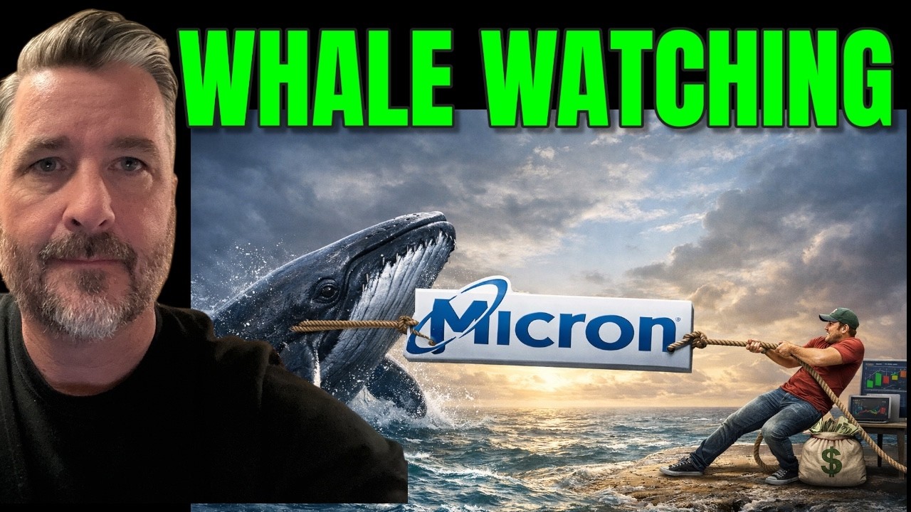 MICRON: Don’t Let The Red Screen Fool You! (The Whale Play)