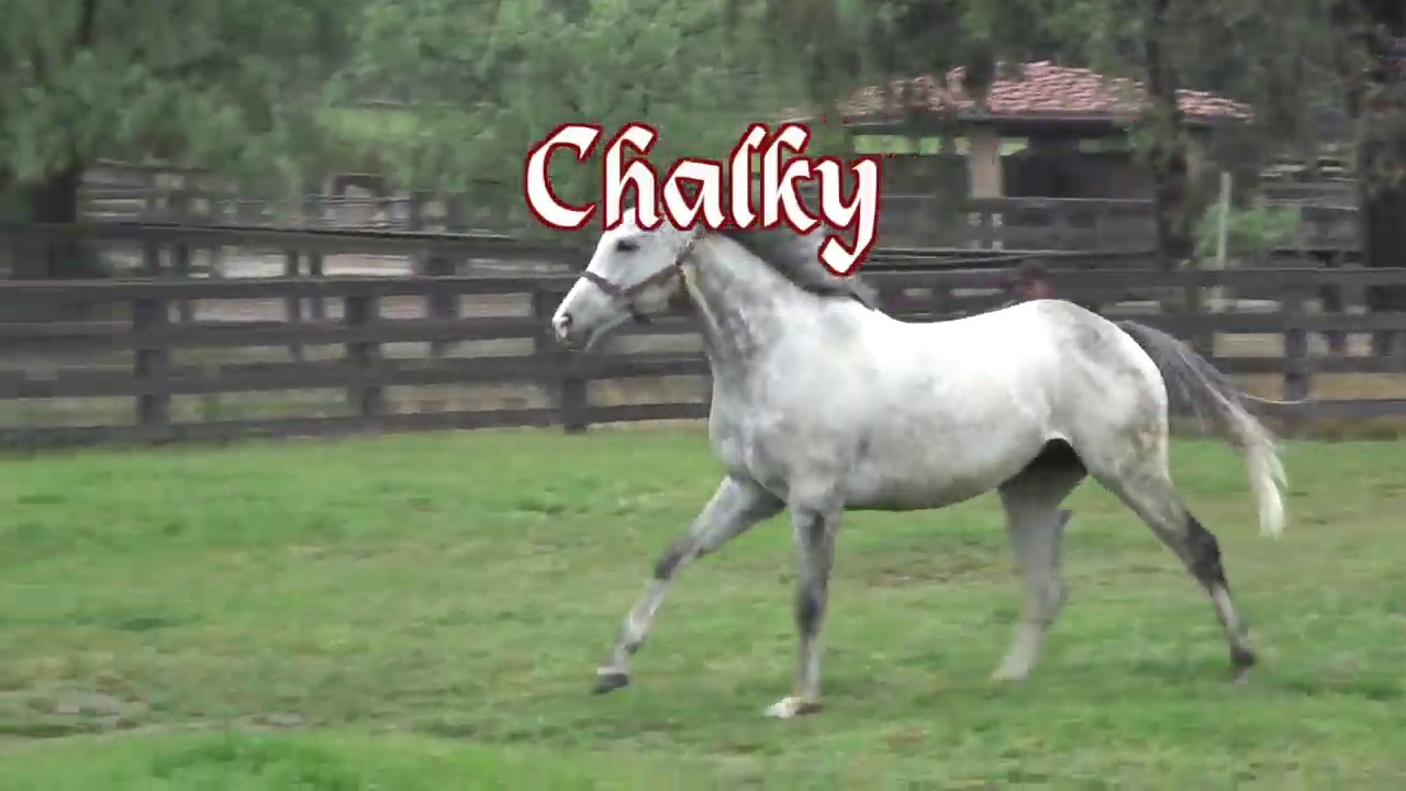 Chalky's Farm Visit