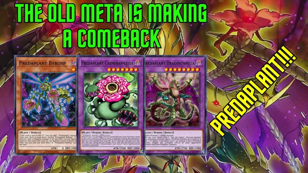 Predaplant remains Strong in the Current Meta || Yu-Gi-Oh! Duel Links